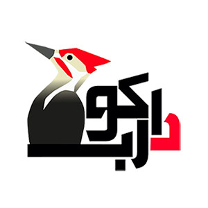 آموزشگاه دارکوب